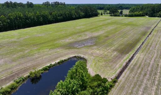 Photo #10 of Off Highway 33, Chocowinity, NC 16.5 acres
