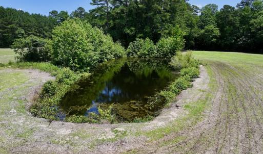 Photo #11 of Off Highway 33, Chocowinity, NC 16.5 acres