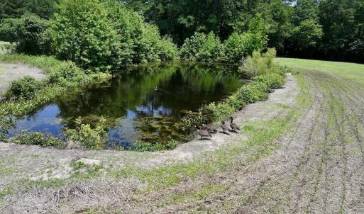 Photo #13 of Off Highway 33, Chocowinity, NC 16.5 acres