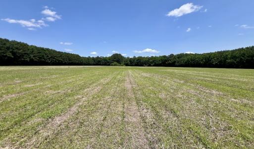 Photo #14 of Off Highway 33, Chocowinity, NC 16.5 acres