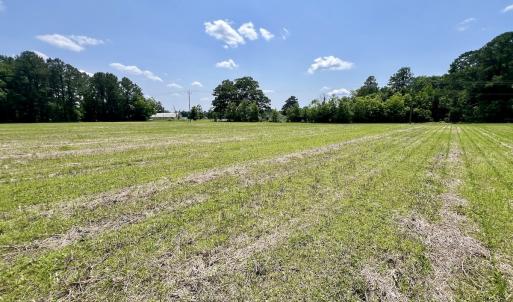 Photo #17 of Off Highway 33, Chocowinity, NC 16.5 acres