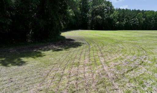 Photo #6 of Off Highway 33, Chocowinity, NC 16.5 acres
