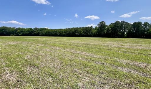 Photo #8 of Off Highway 33, Chocowinity, NC 16.5 acres