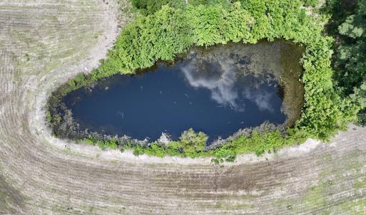 Photo #9 of Off Highway 33, Chocowinity, NC 16.5 acres