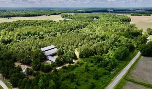 Photo #10 of Off Old 125 rd, Scotland Neck, NC 20.3 acres