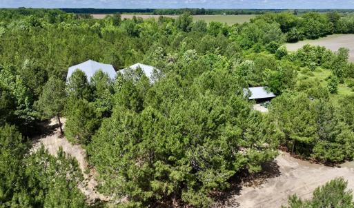 Photo #11 of Off Old 125 rd, Scotland Neck, NC 20.3 acres