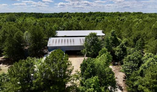 Photo #12 of Off Old 125 rd, Scotland Neck, NC 20.3 acres