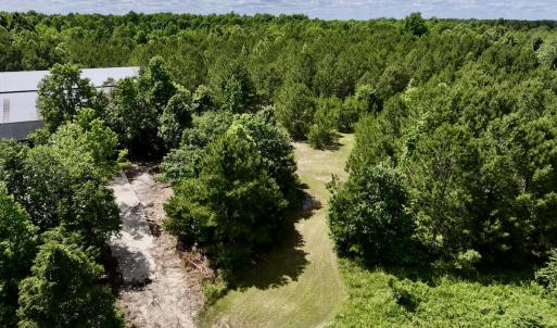 Photo #13 of Off Old 125 rd, Scotland Neck, NC 20.3 acres
