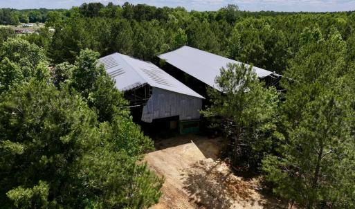 Photo #14 of Off Old 125 rd, Scotland Neck, NC 20.3 acres