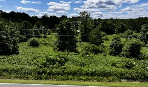Photo #18 of Off Old 125 rd, Scotland Neck, NC 20.3 acres