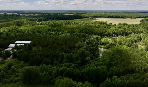 Photo #3 of Off Old 125 rd, Scotland Neck, NC 20.3 acres