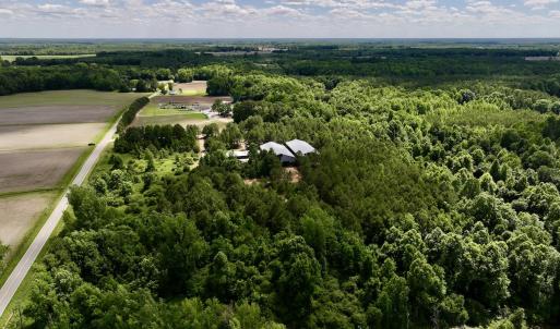 Photo #4 of Off Old 125 rd, Scotland Neck, NC 20.3 acres