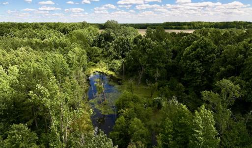 Photo #5 of Off Old 125 rd, Scotland Neck, NC 20.3 acres