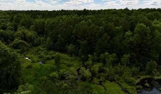 Photo #6 of Off Old 125 rd, Scotland Neck, NC 20.3 acres