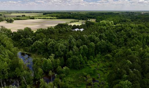 Photo #7 of Off Old 125 rd, Scotland Neck, NC 20.3 acres