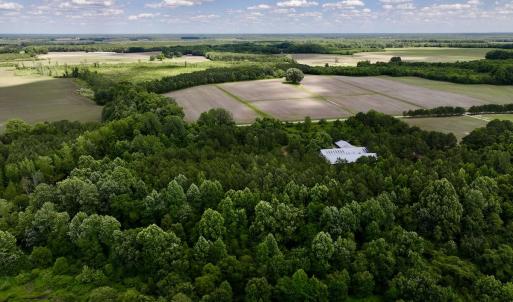 Photo #8 of Off Old 125 rd, Scotland Neck, NC 20.3 acres