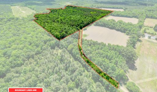 Photo #2 of Off Covered Bridge Rd, Zebulon, NC 58.0 acres