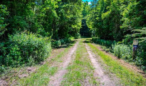 Photo #5 of Off Covered Bridge Rd, Zebulon, NC 58.0 acres