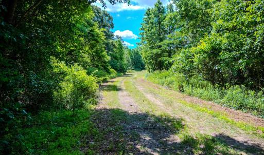 Photo #6 of Off Covered Bridge Rd, Zebulon, NC 58.0 acres
