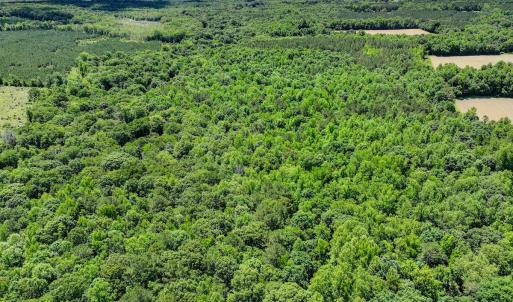 Photo #9 of Off Covered Bridge Rd, Zebulon, NC 58.0 acres