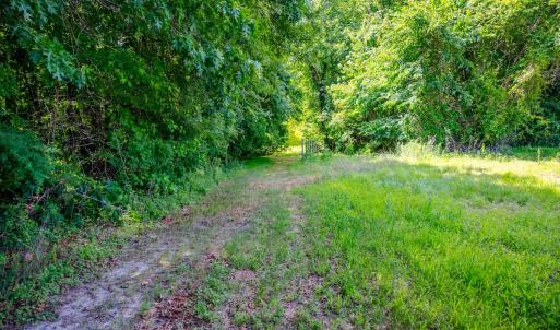 Photo #10 of Off Covered Bridge Rd, Zebulon, NC 58.0 acres