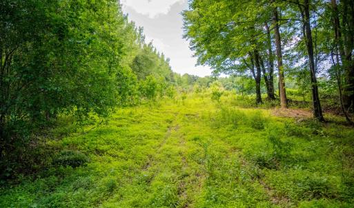 Photo #12 of Off Covered Bridge Rd, Zebulon, NC 58.0 acres