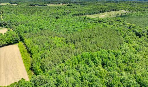 Photo #13 of Off Covered Bridge Rd, Zebulon, NC 58.0 acres