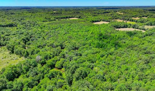 Photo #14 of Off Covered Bridge Rd, Zebulon, NC 58.0 acres