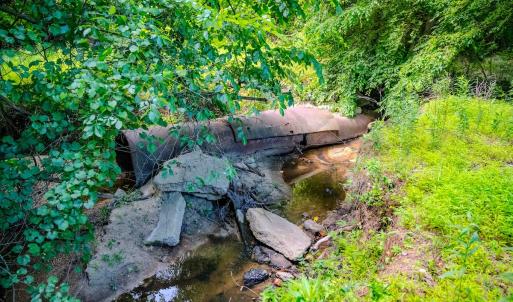 Photo #15 of Off Covered Bridge Rd, Zebulon, NC 58.0 acres