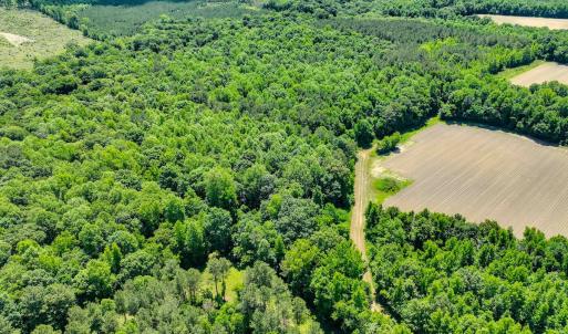 Photo #19 of Off Covered Bridge Rd, Zebulon, NC 58.0 acres
