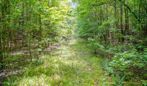 Photo #22 of Off Covered Bridge Rd, Zebulon, NC 58.0 acres
