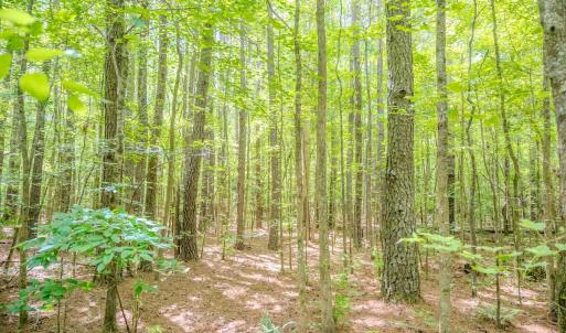 Photo #23 of Off Covered Bridge Rd, Zebulon, NC 58.0 acres