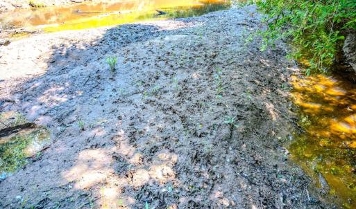 Photo #25 of Off Covered Bridge Rd, Zebulon, NC 58.0 acres