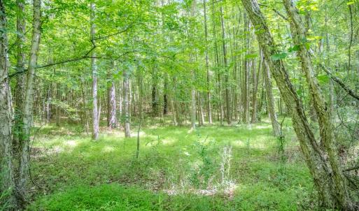 Photo #27 of Off Covered Bridge Rd, Zebulon, NC 58.0 acres
