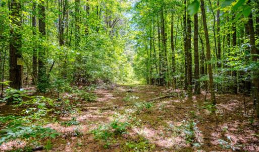 Photo #29 of Off Covered Bridge Rd, Zebulon, NC 58.0 acres