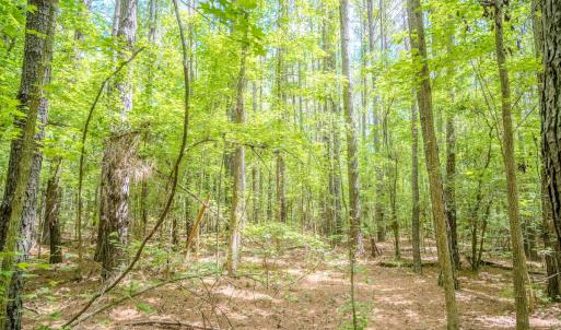 Photo #31 of Off Covered Bridge Rd, Zebulon, NC 58.0 acres