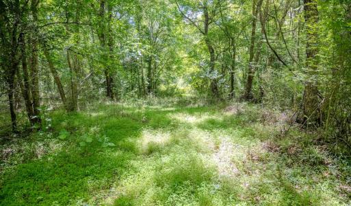 Photo #34 of Off Covered Bridge Rd, Zebulon, NC 58.0 acres
