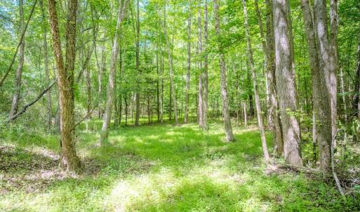 Photo #35 of Off Covered Bridge Rd, Zebulon, NC 58.0 acres