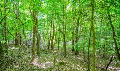 Photo #36 of Off Covered Bridge Rd, Zebulon, NC 58.0 acres