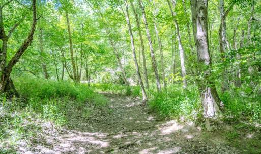 Photo #37 of Off Covered Bridge Rd, Zebulon, NC 58.0 acres