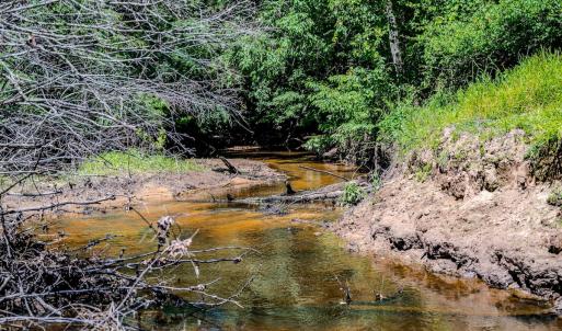 Photo #39 of Off Covered Bridge Rd, Zebulon, NC 58.0 acres