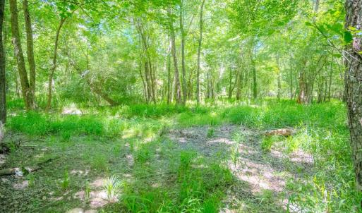 Photo #41 of Off Covered Bridge Rd, Zebulon, NC 58.0 acres