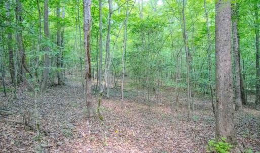 Photo #42 of Off Covered Bridge Rd, Zebulon, NC 58.0 acres