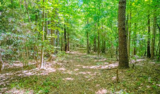 Photo #44 of Off Covered Bridge Rd, Zebulon, NC 58.0 acres