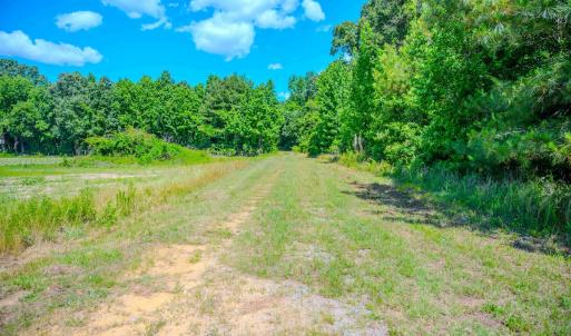 Photo #45 of Off Covered Bridge Rd, Zebulon, NC 58.0 acres
