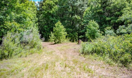 Photo #46 of Off Covered Bridge Rd, Zebulon, NC 58.0 acres