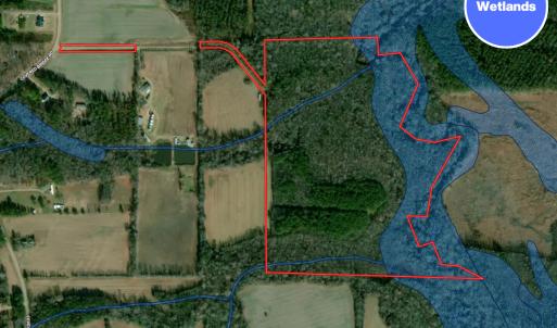 Photo #50 of Off Covered Bridge Rd, Zebulon, NC 58.0 acres