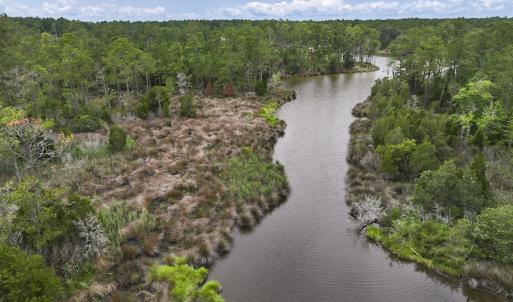 Photo #19 of Off Whealton Point Road, Aurora, NC 5.5 acres