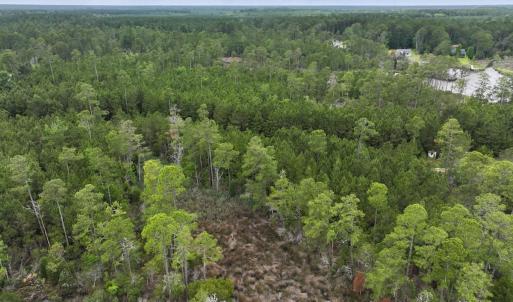 Photo #23 of Off Whealton Point Road, Aurora, NC 5.5 acres