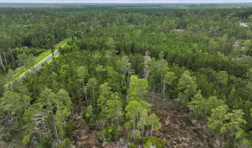 Photo #24 of Off Whealton Point Road, Aurora, NC 5.5 acres